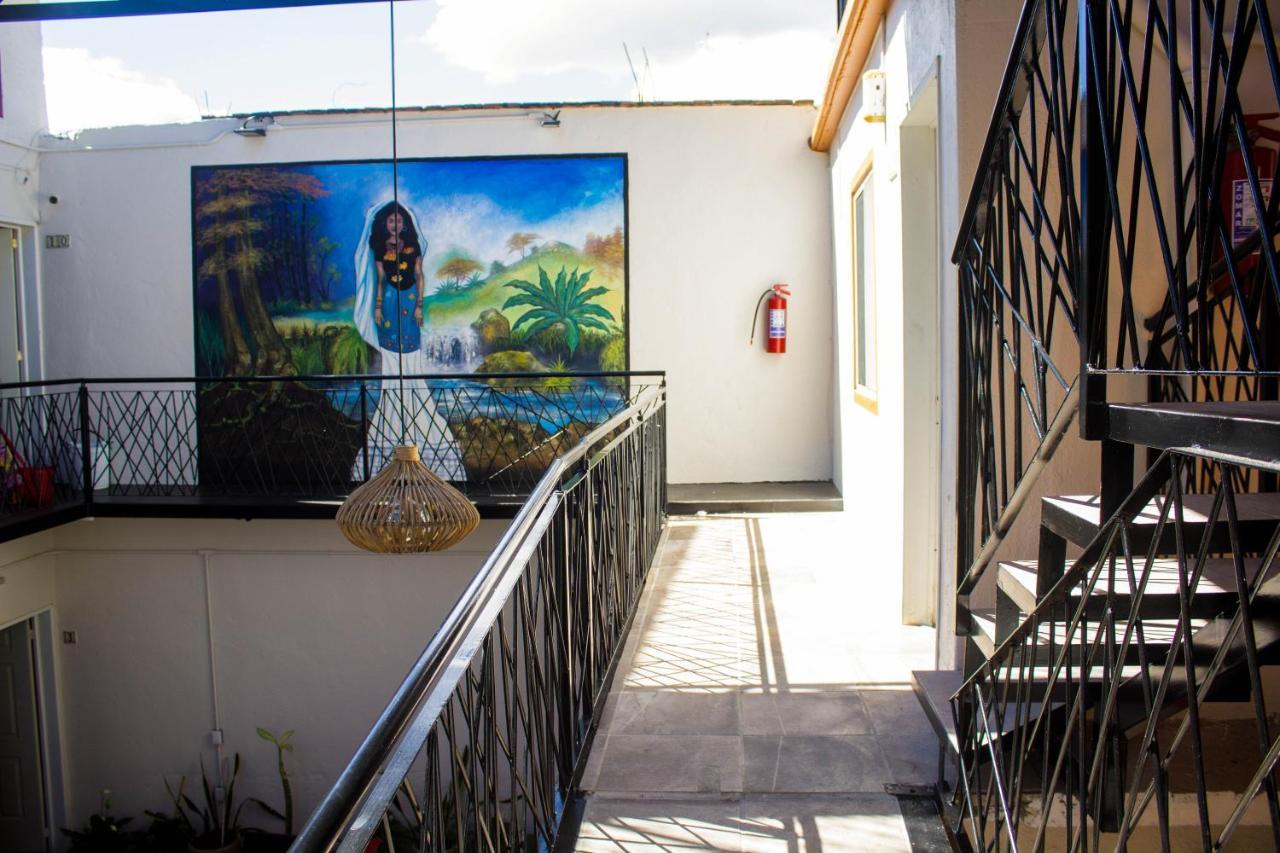 Casa Gubidxa Hotel Oaxaca Exterior photo